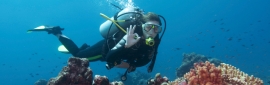 Vava'u is famous for its water sports